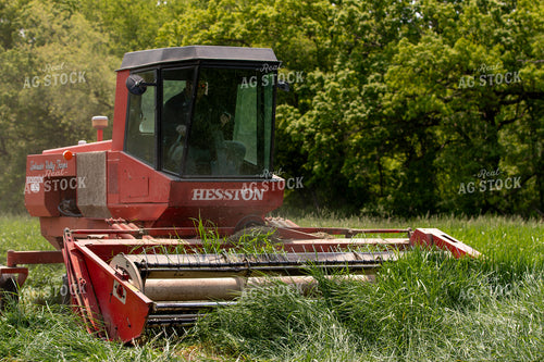 Harvesting Wheat for Baleage 157324