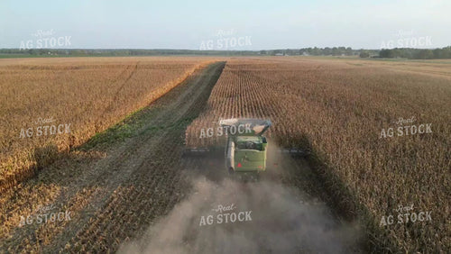 Aerial of Corn Harvest 149055