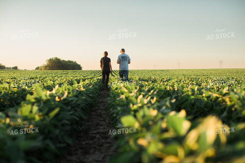 Agronomist and Farmer Scouting Soybean Field 6116