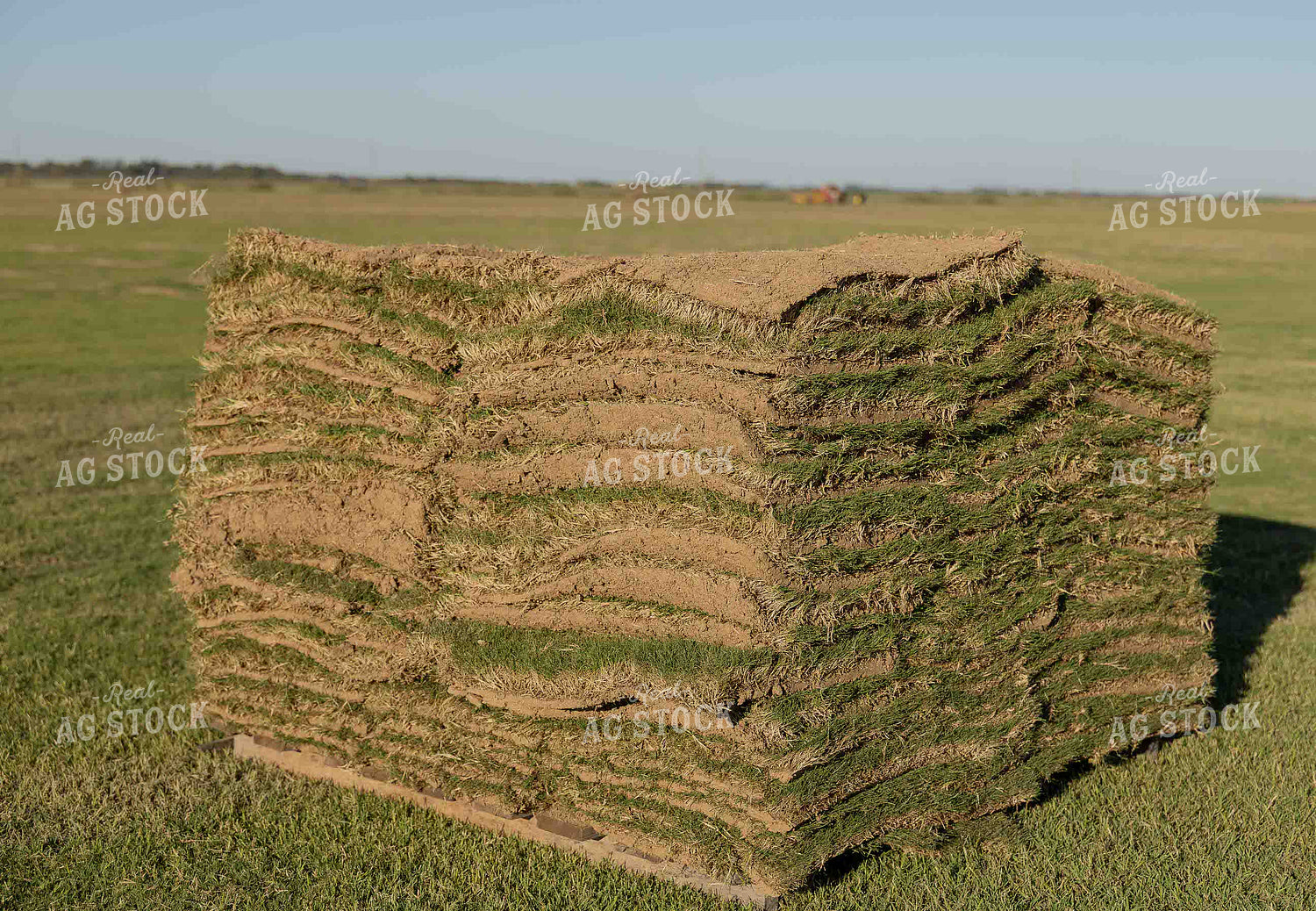 Pallet of Sod 291018