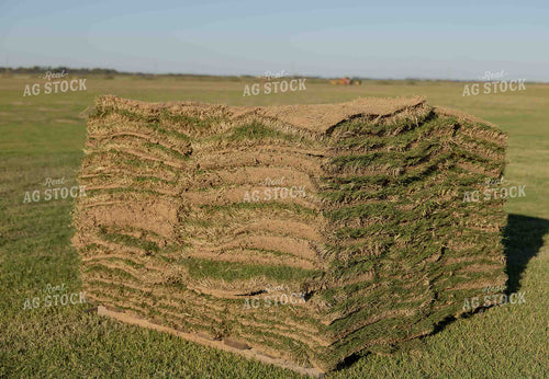 Pallet of Sod 291018