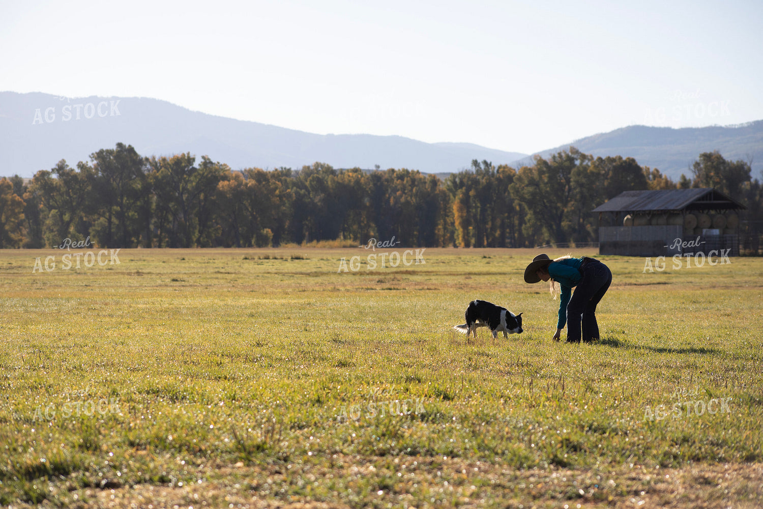 Female Rancher with Ranch Dog 117113