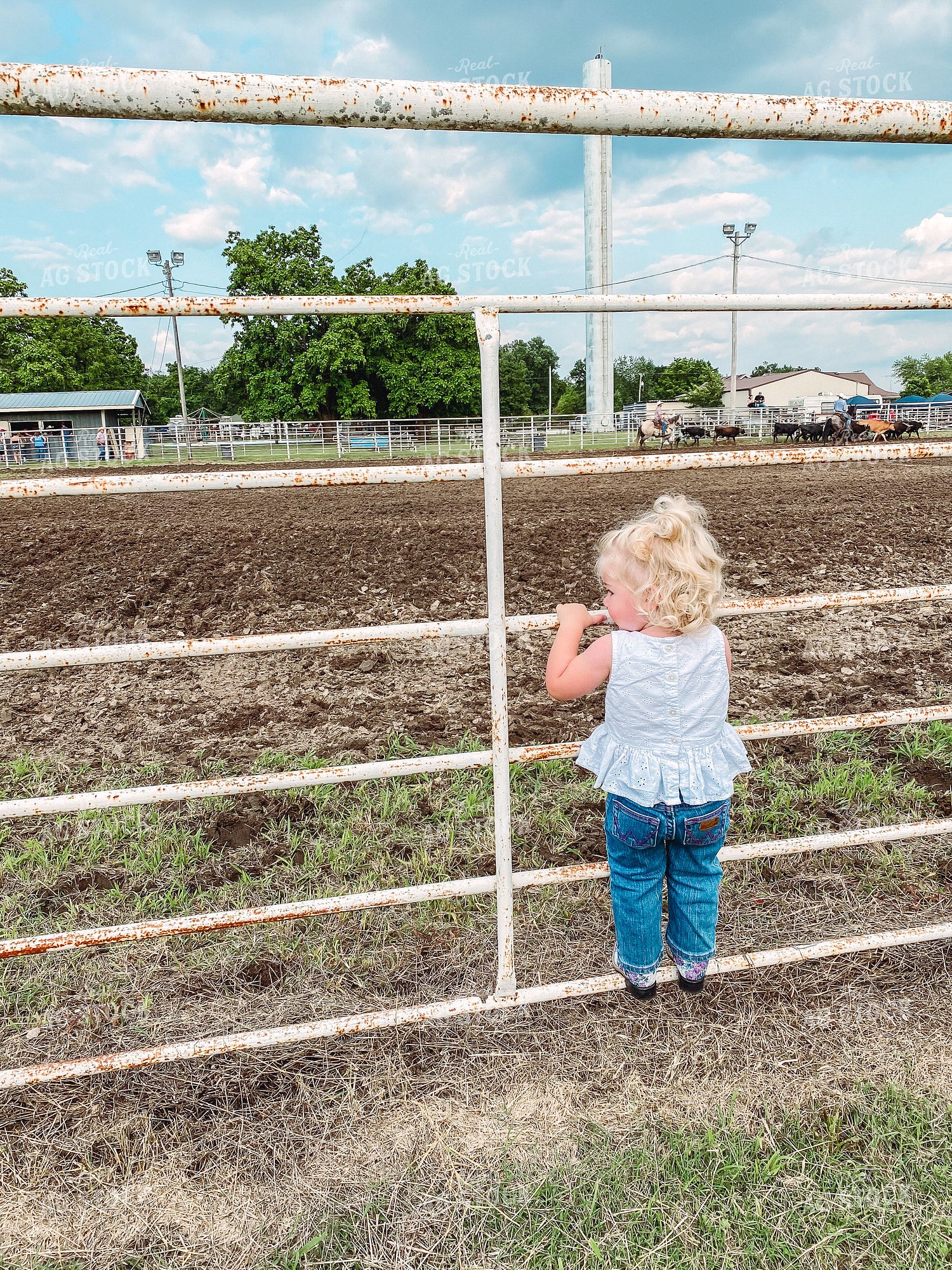Farm Kid on Fence 228003