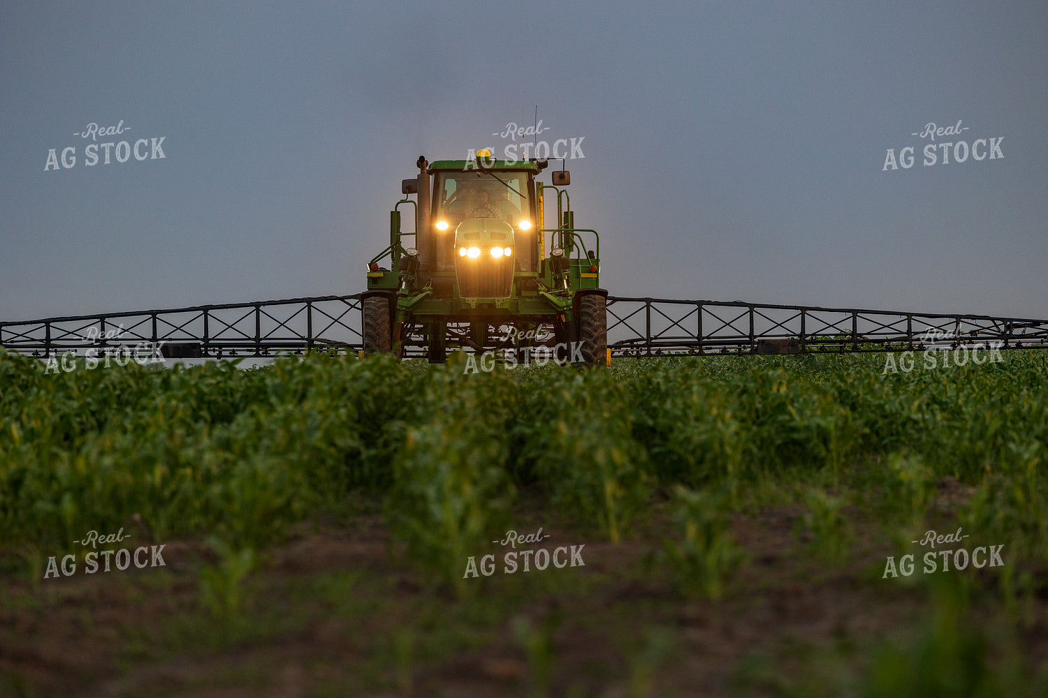 Spraying Corn 72131