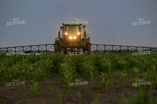 Spraying Corn 72131