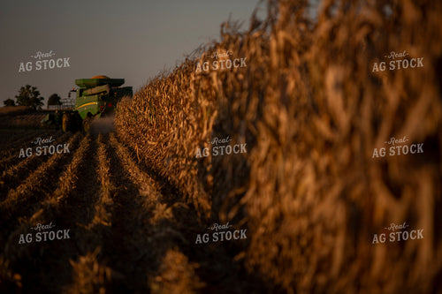 Harvest 2516