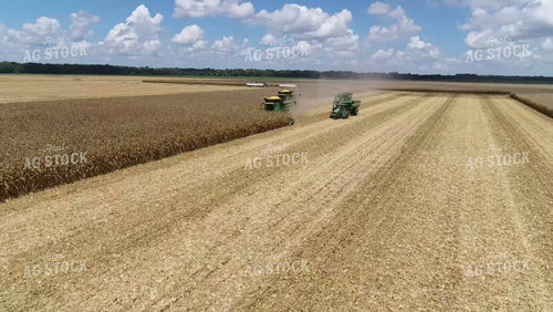 Harvesting Corn Two Combines and Grain Carts Drone 80051