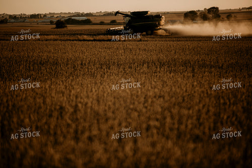 Harvest 2579
