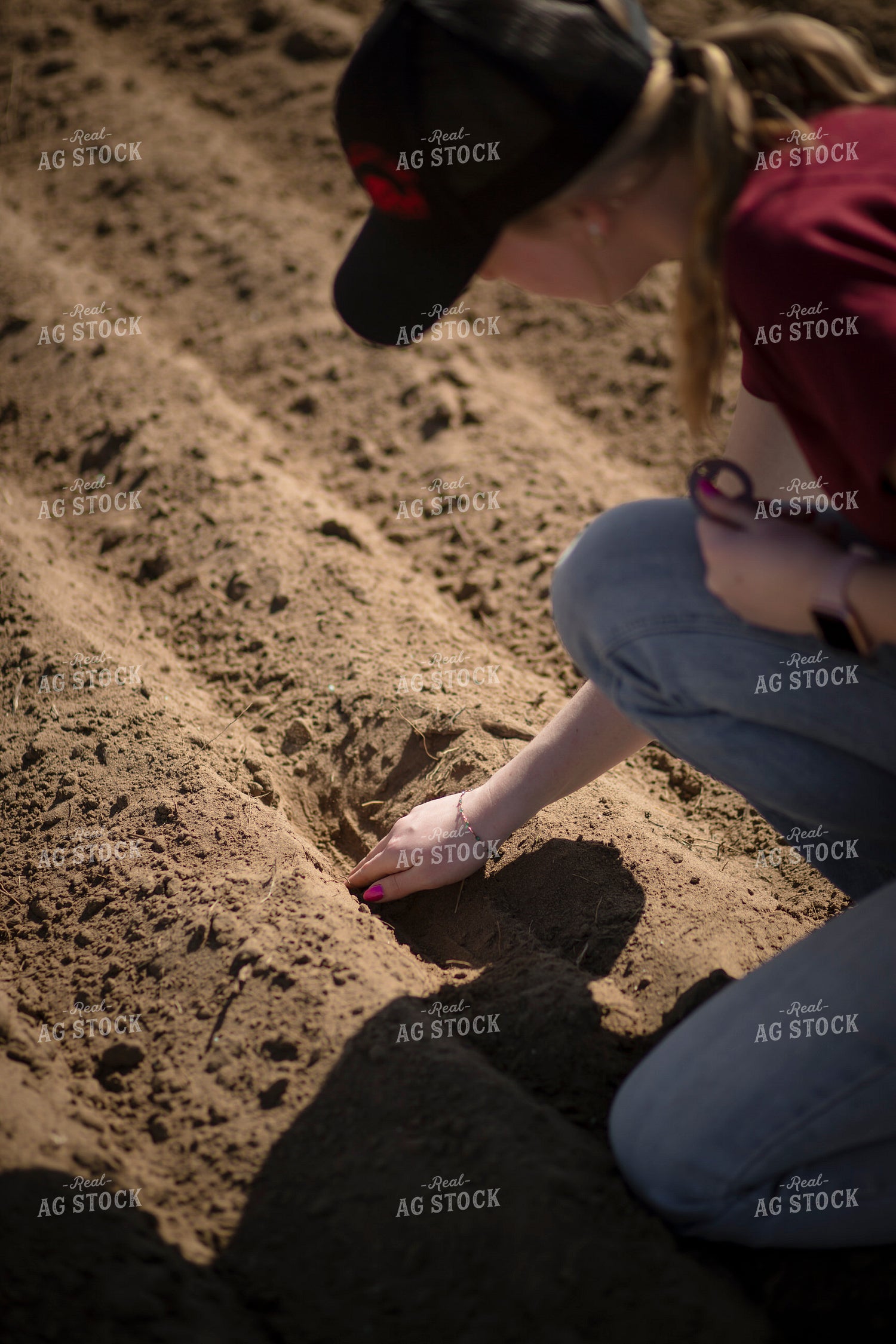 Female Farmer Checking Seed Depth 135076