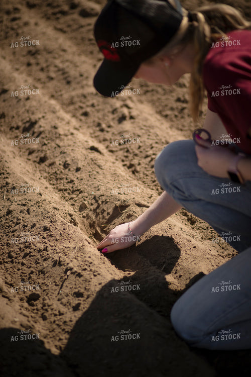 Female Farmer Checking Seed Depth 135076