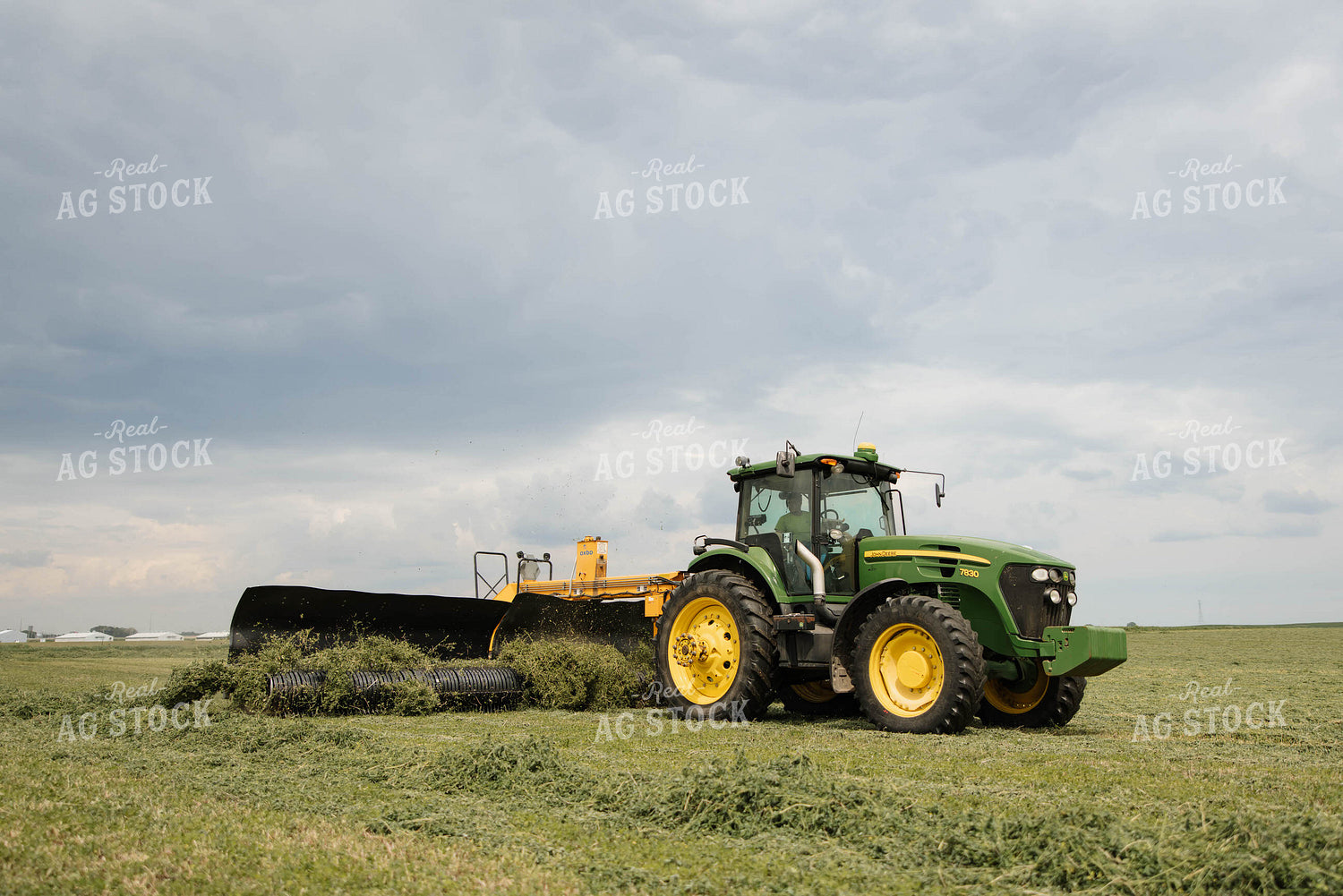Merging Hay 152784