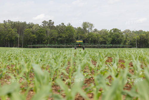 Spraying Corn 79799