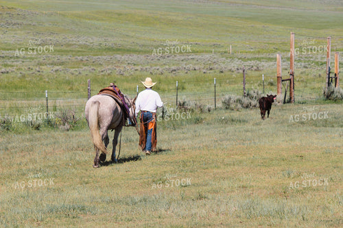 Rancher with Horse 63076
