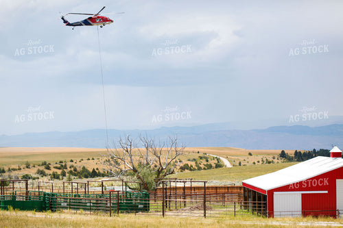 Plane Flying Over Farmyard 81045