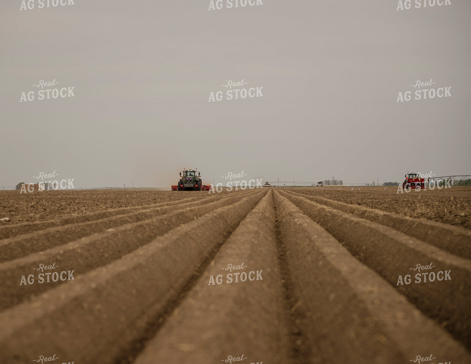 Planting Potatoes 135088