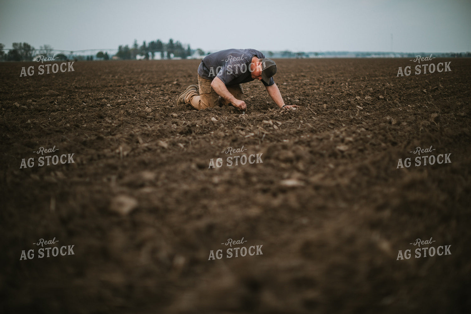 Farmer Checking Seed Depth 5677