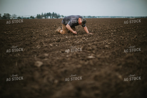 Farmer Checking Seed Depth 5677