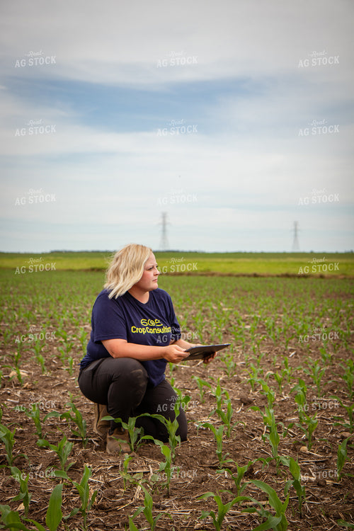 Female Agronomist Scouting Field 67754