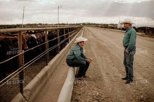 Feedyard 3043