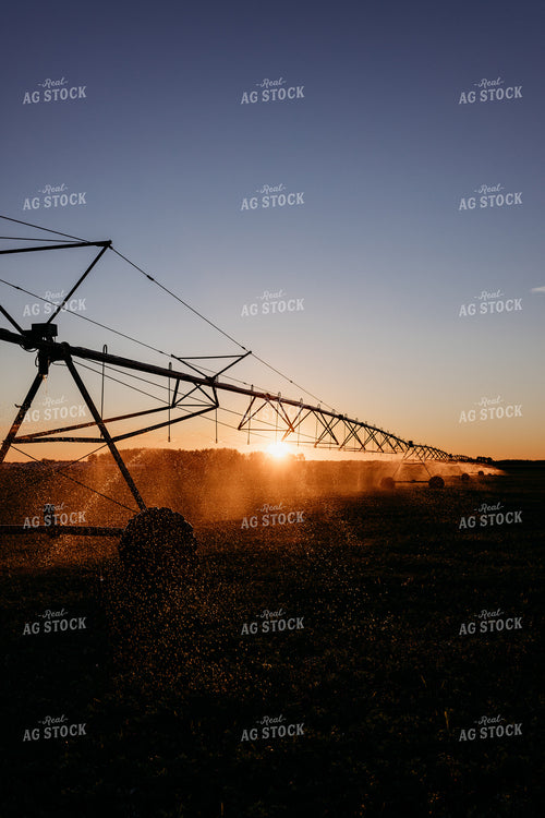 Irrigated Field 152204