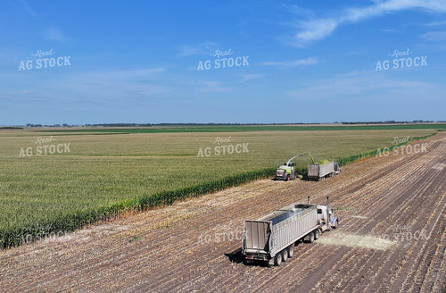 Aerial of Corn Silage Harvest 141395