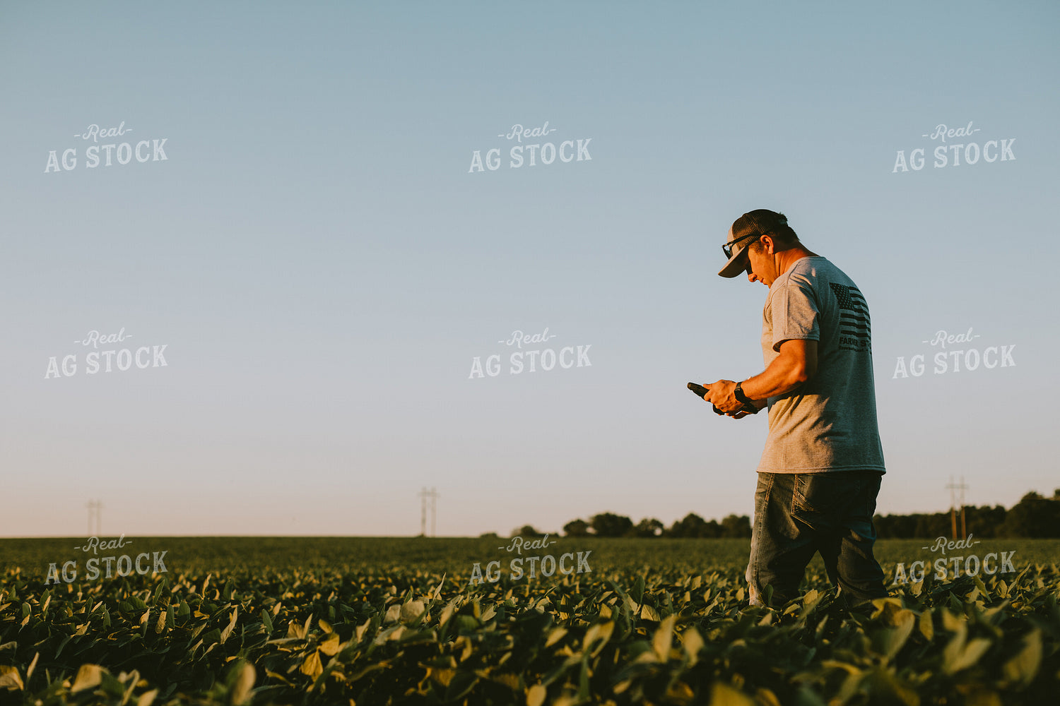 Farmer in Soybean Field with Tablet 6137