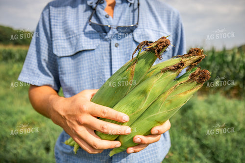 Farmer Checking Corn 270315