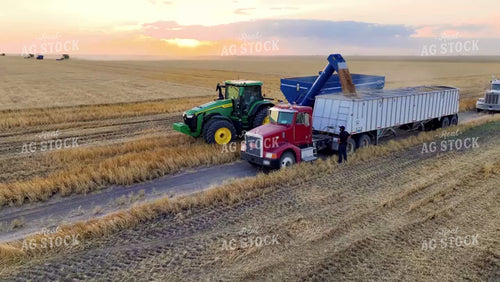 Aerial of Wheat Harvest 199025