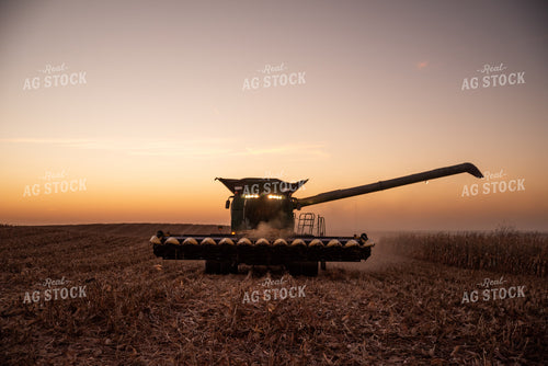 Combine in Corn Field 76307