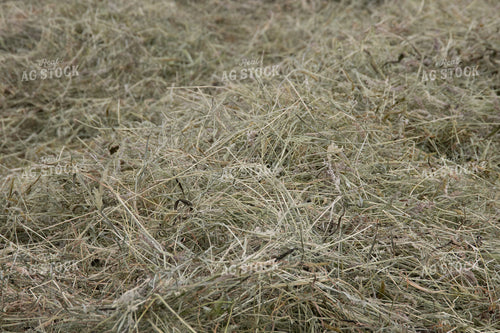 Hay Field 52168