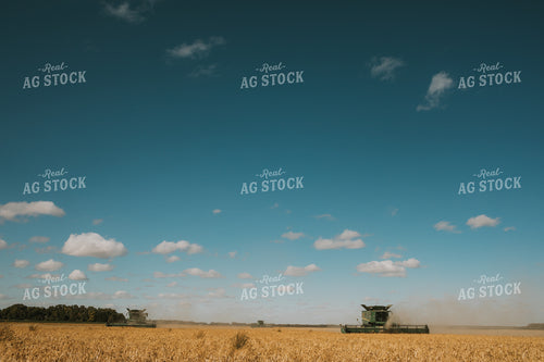 Combines Harvesting Beans 3299
