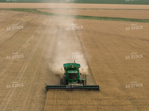 Wheat Harvest 239030