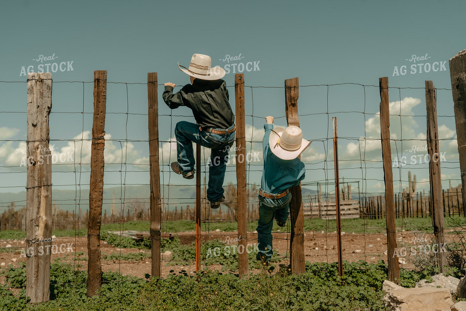 Ranch Kids Climbing Fence 58304