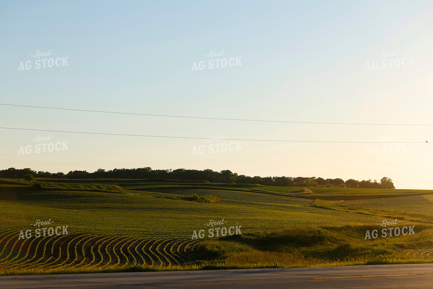 Scenic Landscape 129084