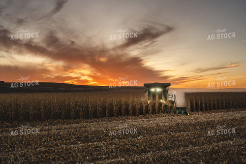 Harvest 196036