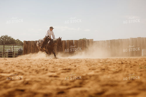 Riding Horse in Arena 281099