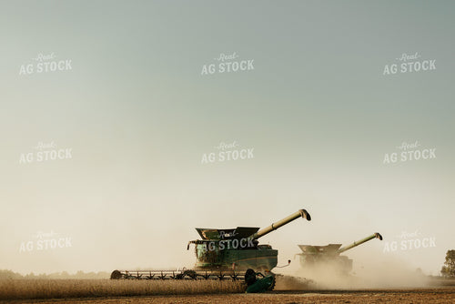 Soybean Harvest 9238