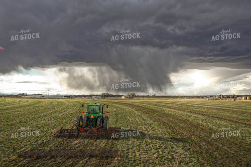 Rain on Irrigated Pasture 56004