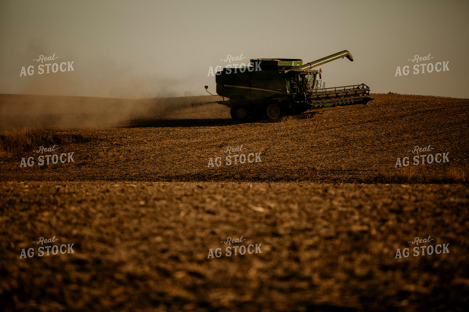 Harvest 2563