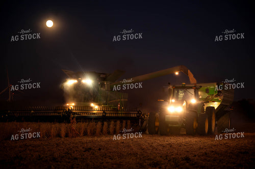 Soybean Harvest 115445