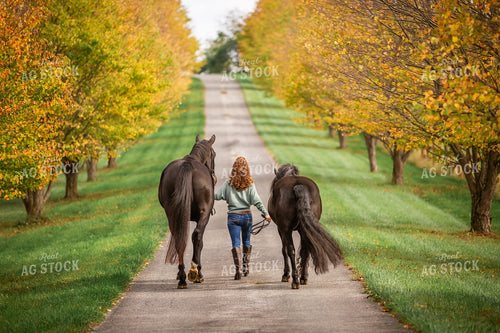 Female Equestrian with Horses 270392