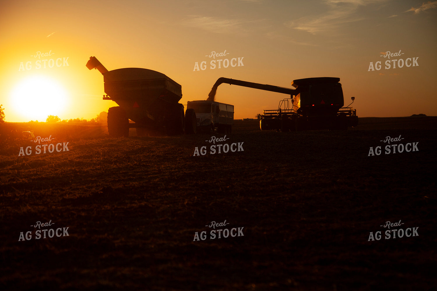 Harvest 1828