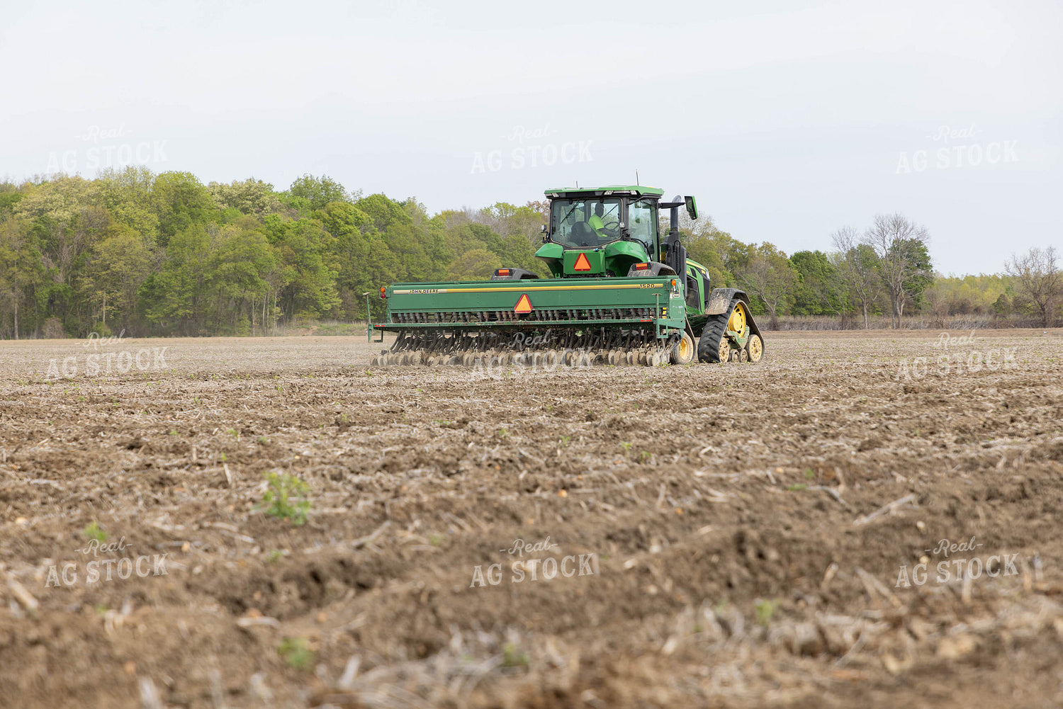 Drilling Rice 79592
