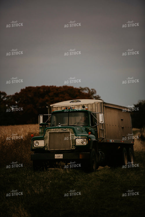 Harvest 2635