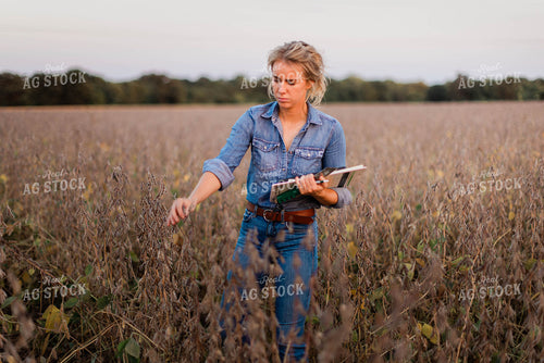 Female Agronomist Checking Beans 8354