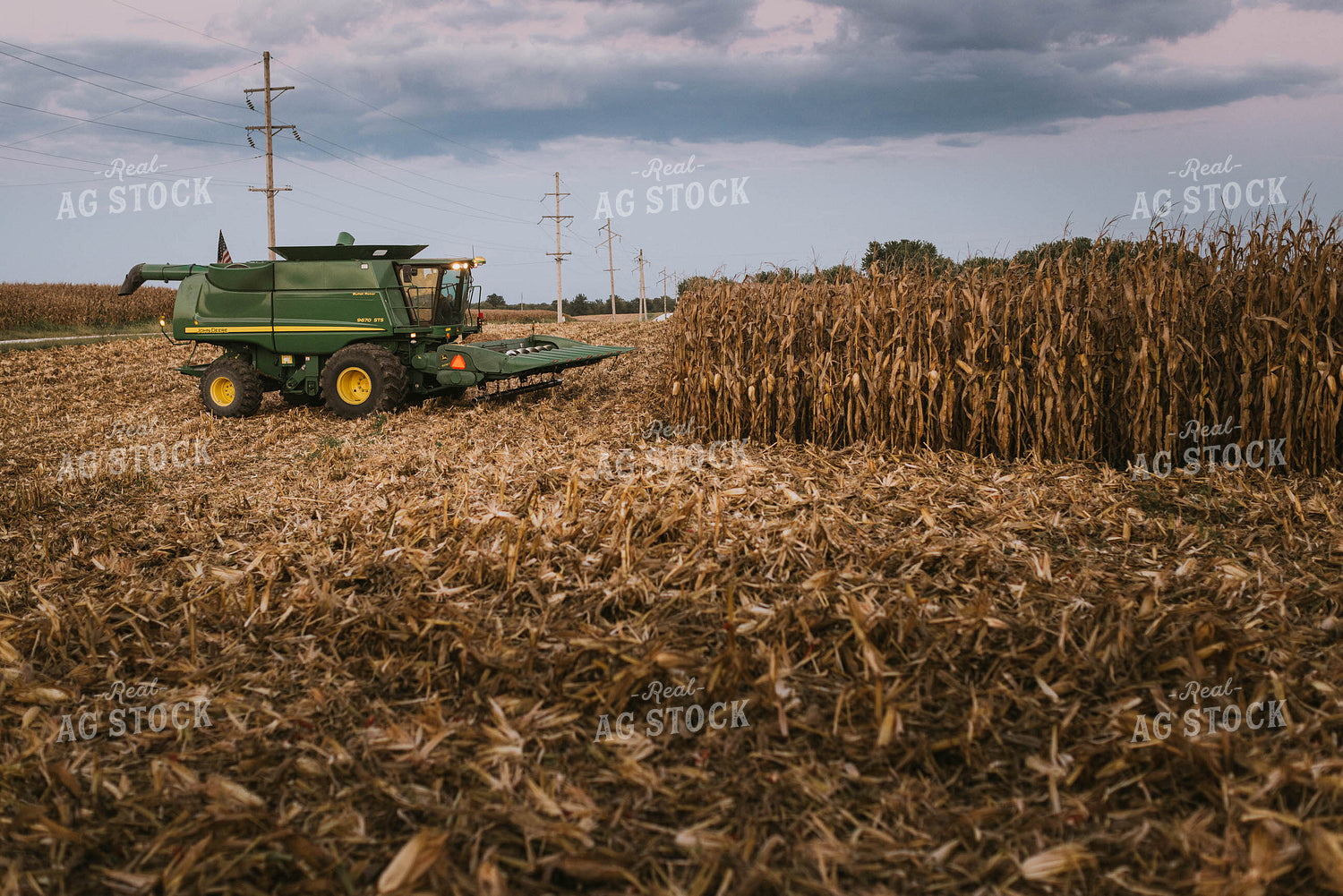 Corn Harvest 9410