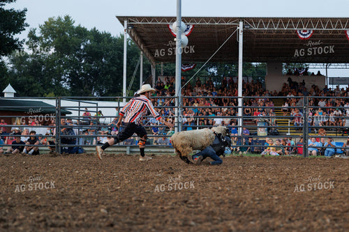 Rodeo 295198