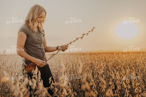 Female Agronomist Checking Soybeans 9254