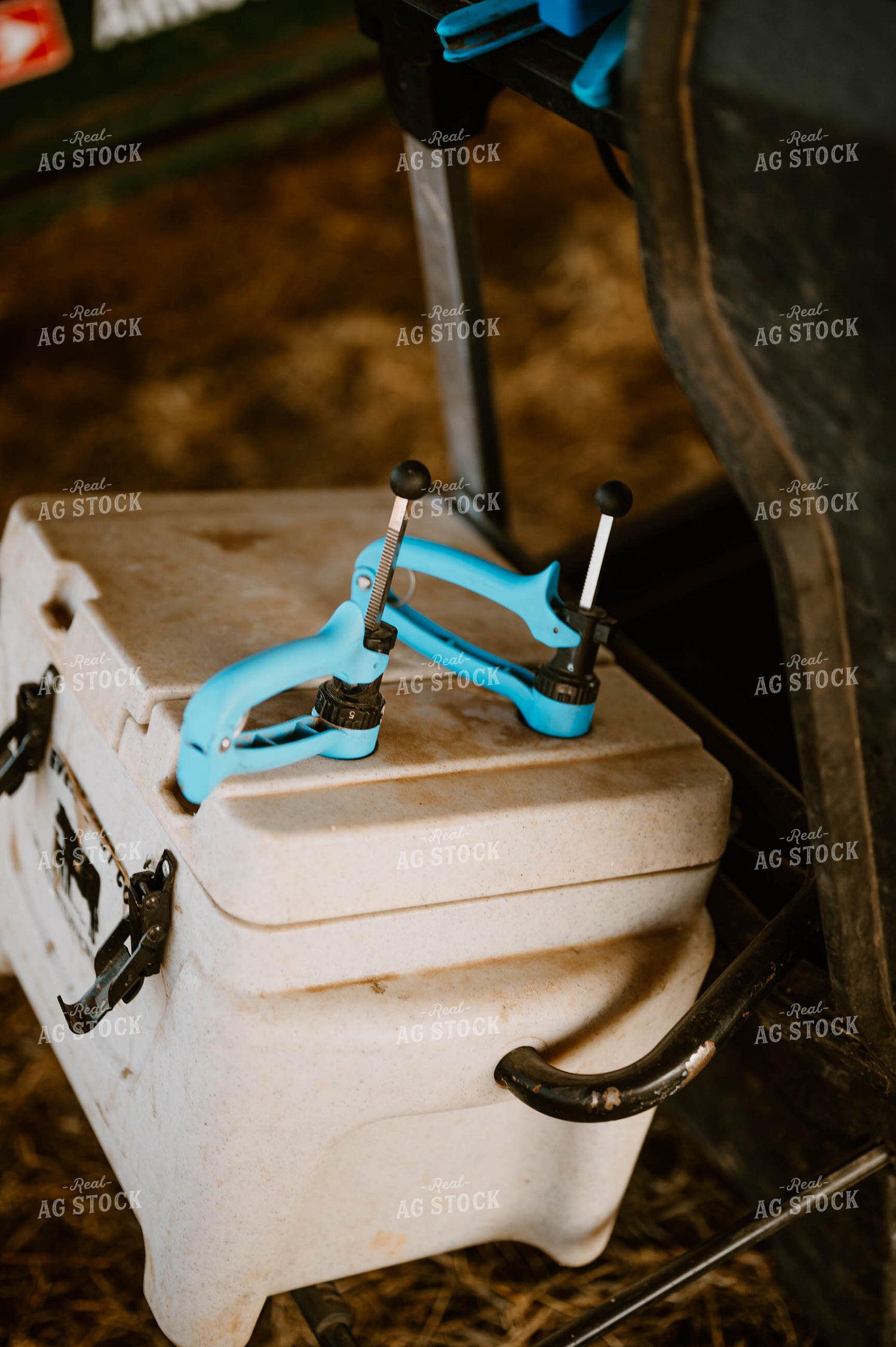 Vaccine Cooler 125206