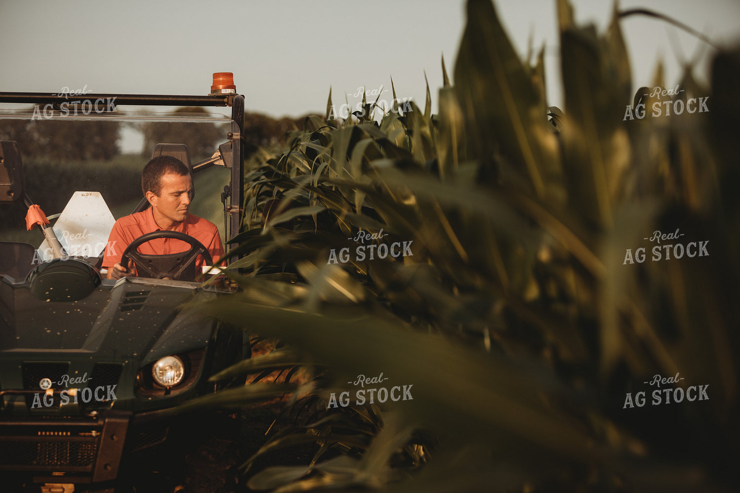 Farmer Checking Corn Crop in UTV 4557